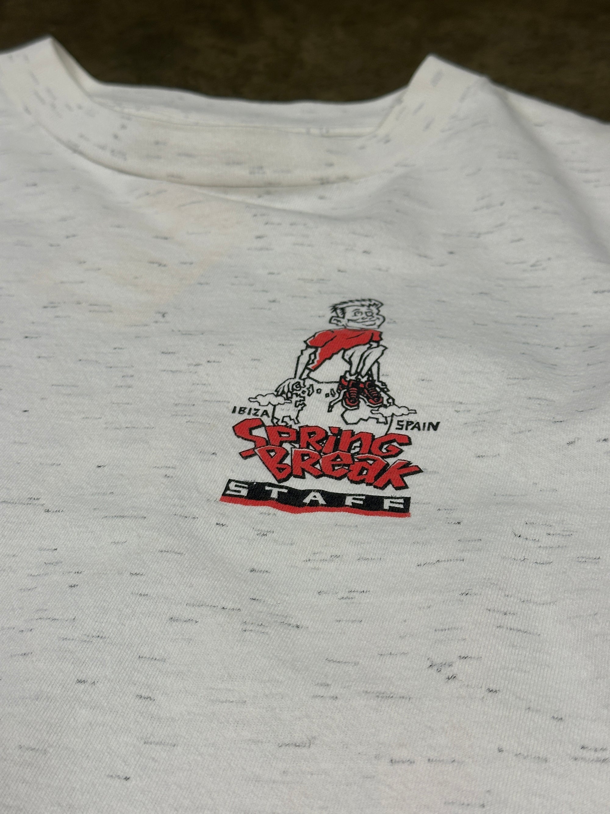 Vintage Spring Break Staff Longsleeve T-shirt